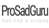 ProSadGuru.com